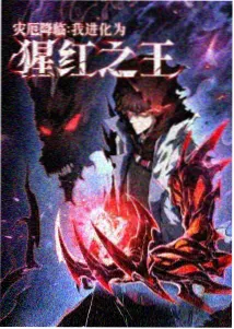 海贼王 第1117集